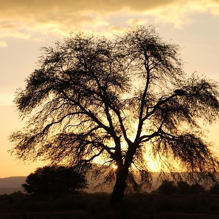 Andes Nomads Desert Camp & Lodge サン・ペドロ・デ・アタカマ エクステリア 写真