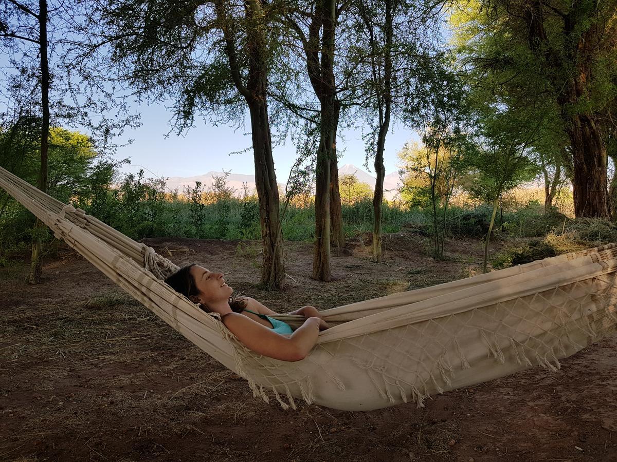 Andes Nomads Desert Camp & Lodge サン・ペドロ・デ・アタカマ エクステリア 写真