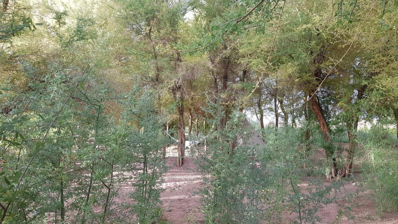 Andes Nomads Desert Camp & Lodge サン・ペドロ・デ・アタカマ エクステリア 写真